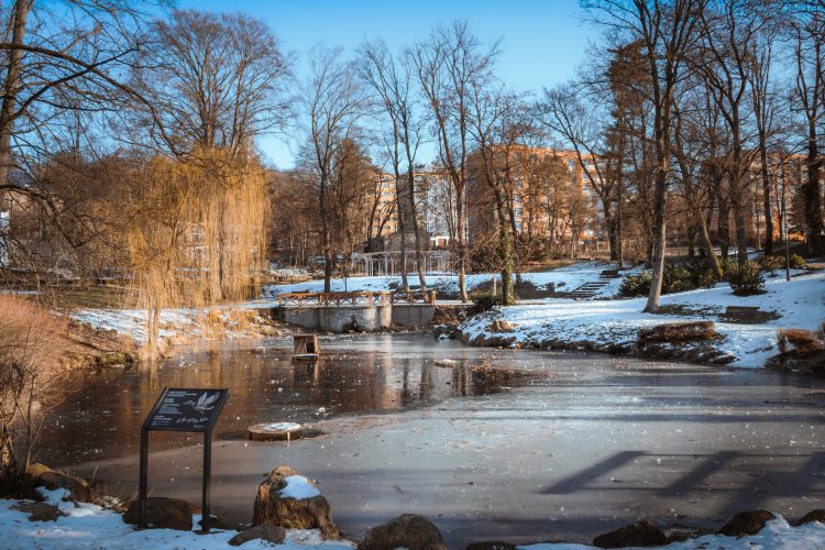atakarchitekti - Tančírna Vratislavice - vizualizace